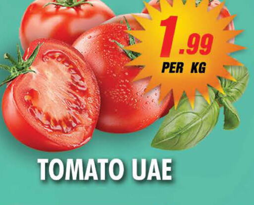  Tomato  in نايت تو نايت in الإمارات العربية المتحدة , الامارات - الشارقة / عجمان