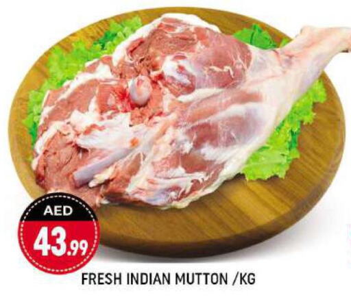  Mutton / Lamb  in Shaklan  in UAE - Dubai