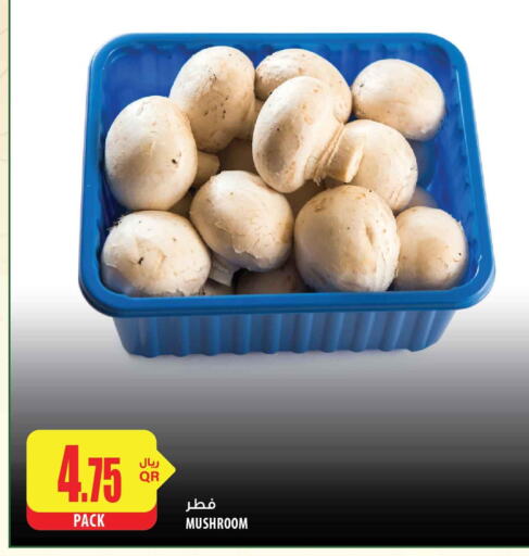  Mushroom  in شركة الميرة للمواد الاستهلاكية in قطر - الشحانية