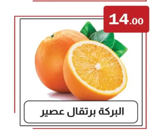  Orange  in ABA market in Egypt - Cairo