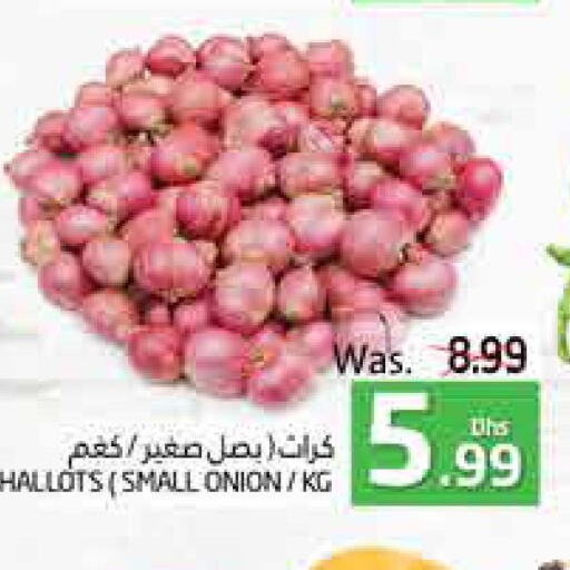  Onion  in PASONS GROUP in UAE - Al Ain