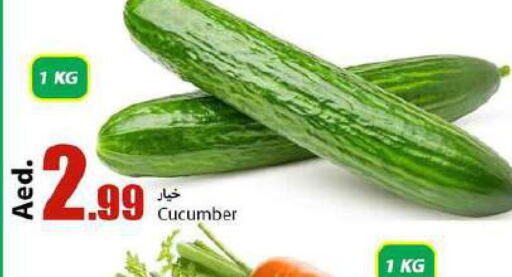  Cucumber  in  روابي ماركت عجمان in الإمارات العربية المتحدة , الامارات - الشارقة / عجمان