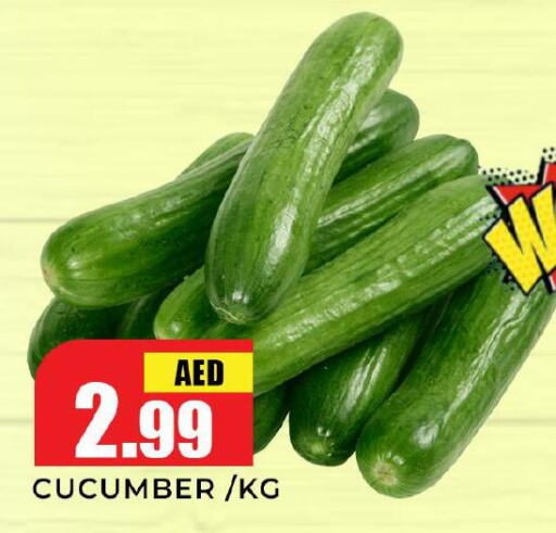  Cucumber  in هايبر ماركت مينا المدينة in الإمارات العربية المتحدة , الامارات - الشارقة / عجمان