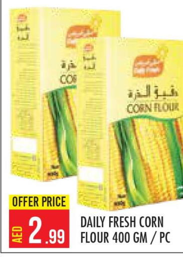 DAILY FRESH Corn Flour  in سنابل بني ياس in الإمارات العربية المتحدة , الامارات - أبو ظبي