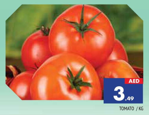  Tomato  in AL MADINA in UAE - Sharjah / Ajman