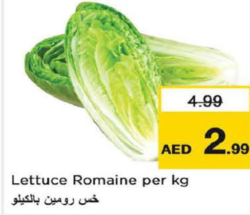  Cauliflower  in Last Chance  in UAE - Fujairah