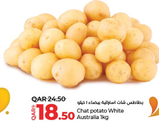  Potato  in لولو هايبرماركت in قطر - الشمال