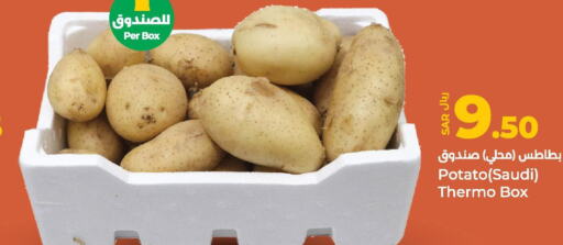  Potato  in LULU Hypermarket in KSA, Saudi Arabia, Saudi - Jubail