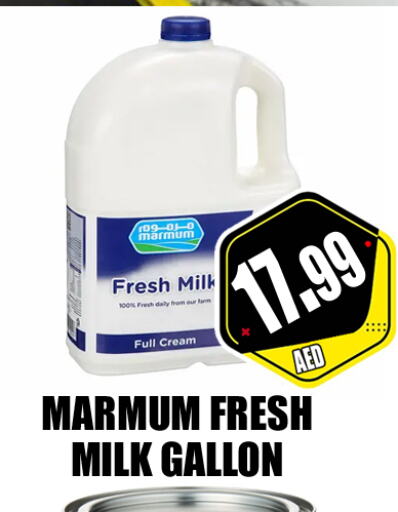 MARMUM Fresh Milk  in GRAND MAJESTIC HYPERMARKET in الإمارات العربية المتحدة , الامارات - أبو ظبي