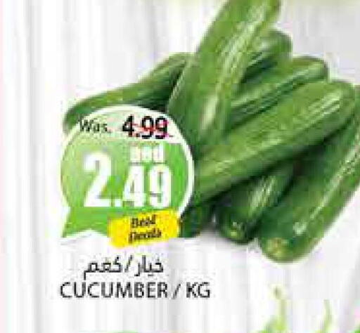  Cucumber  in PASONS GROUP in UAE - Al Ain