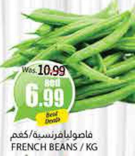  Beans  in PASONS GROUP in UAE - Al Ain