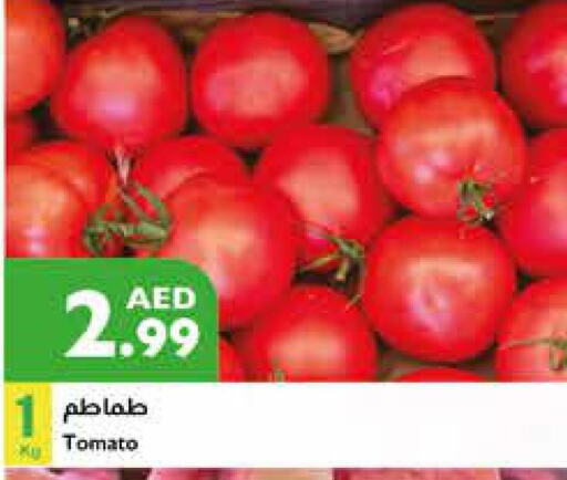  Tomato  in إسطنبول سوبرماركت in الإمارات العربية المتحدة , الامارات - رَأْس ٱلْخَيْمَة