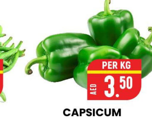  Chilli / Capsicum  in الامل هايبرماركت in الإمارات العربية المتحدة , الامارات - رَأْس ٱلْخَيْمَة