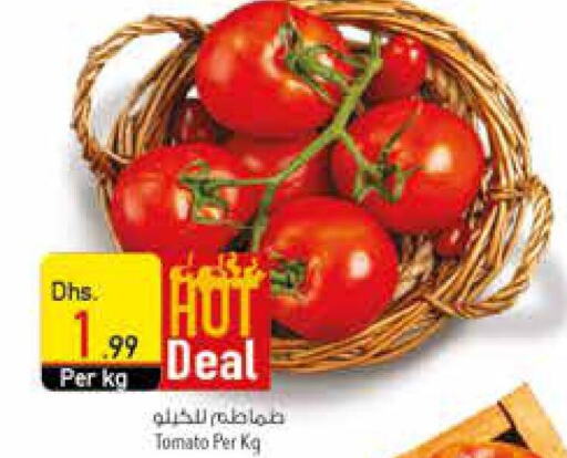  Tomato  in السفير هايبر ماركت in الإمارات العربية المتحدة , الامارات - الشارقة / عجمان