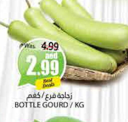  Gourd  in PASONS GROUP in UAE - Al Ain