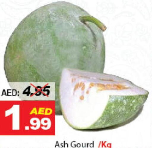  Gourd  in ديزرت فريش ماركت in الإمارات العربية المتحدة , الامارات - أبو ظبي