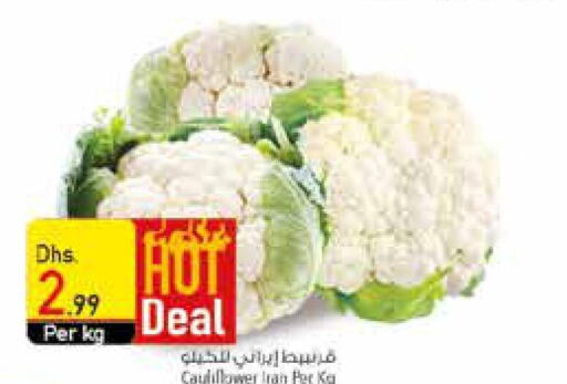  Cauliflower  in السفير هايبر ماركت in الإمارات العربية المتحدة , الامارات - الشارقة / عجمان