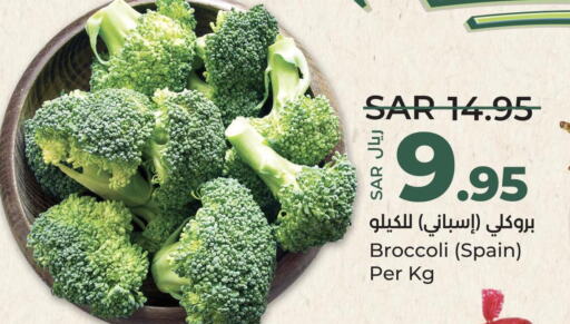  Broccoli  in لولو هايبرماركت in مملكة العربية السعودية, السعودية, سعودية - عنيزة
