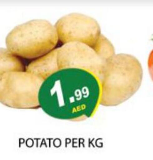  Potato  in زين مارت سوبرماركت in الإمارات العربية المتحدة , الامارات - رَأْس ٱلْخَيْمَة