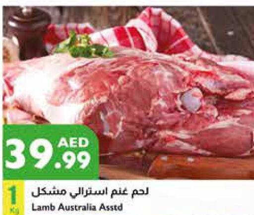  Mutton / Lamb  in إسطنبول سوبرماركت in الإمارات العربية المتحدة , الامارات - الشارقة / عجمان