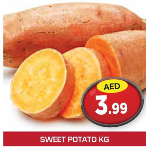  Sweet Potato  in سنابل بني ياس in الإمارات العربية المتحدة , الامارات - رَأْس ٱلْخَيْمَة