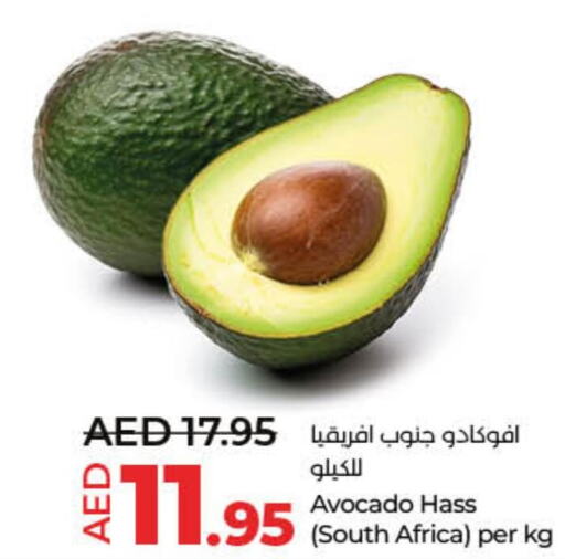  Avacado  in Lulu Hypermarket in UAE - Dubai