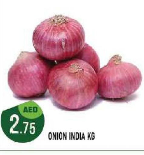  Onion  in أزهر المدينة هايبرماركت in الإمارات العربية المتحدة , الامارات - أبو ظبي
