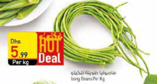  Beans  in السفير هايبر ماركت in الإمارات العربية المتحدة , الامارات - الشارقة / عجمان