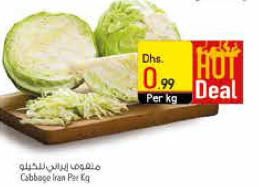  Cabbage  in السفير هايبر ماركت in الإمارات العربية المتحدة , الامارات - أم القيوين‎