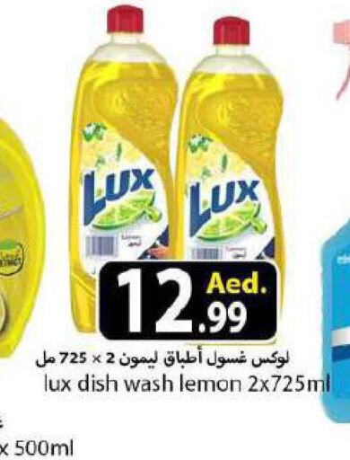 LUX   in  روابي ماركت عجمان in الإمارات العربية المتحدة , الامارات - الشارقة / عجمان