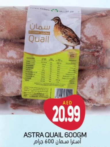  Quail  in سوق المبارك هايبرماركت in الإمارات العربية المتحدة , الامارات - الشارقة / عجمان