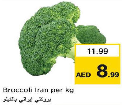 Broccoli  in Last Chance  in UAE - Fujairah