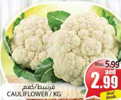  Cauliflower  in PASONS GROUP in UAE - Al Ain