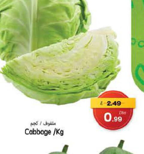  Cabbage  in PASONS GROUP in UAE - Fujairah