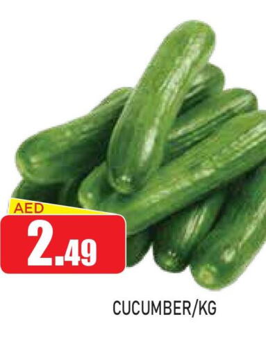  Cucumber  in عين المدينة هايبرماركت in الإمارات العربية المتحدة , الامارات - الشارقة / عجمان