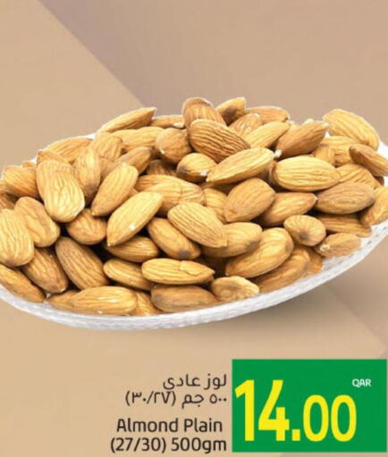  Cereals  in Gulf Food Center in Qatar - Al Shamal