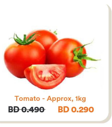  Tomato  in Talabat in Bahrain