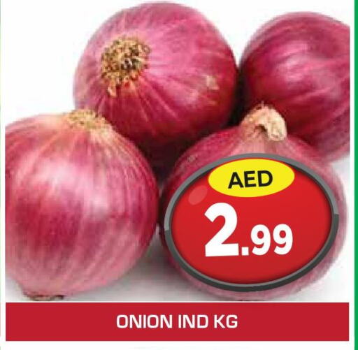  Onion  in سنابل بني ياس in الإمارات العربية المتحدة , الامارات - رَأْس ٱلْخَيْمَة