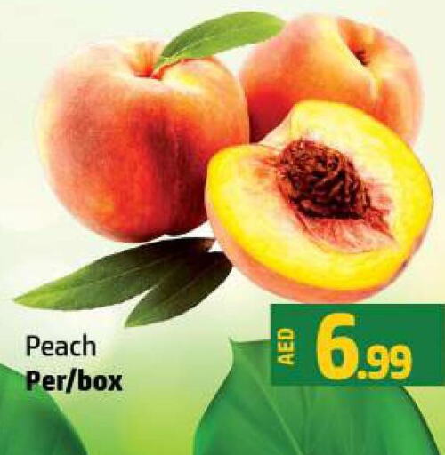  Peach  in Al Hooth in UAE - Ras al Khaimah