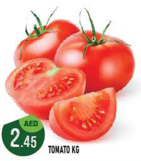  Tomato  in أزهر المدينة هايبرماركت in الإمارات العربية المتحدة , الامارات - أبو ظبي