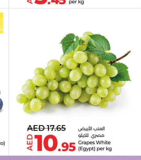  Grapes  in لولو هايبرماركت in الإمارات العربية المتحدة , الامارات - ٱلْفُجَيْرَة‎