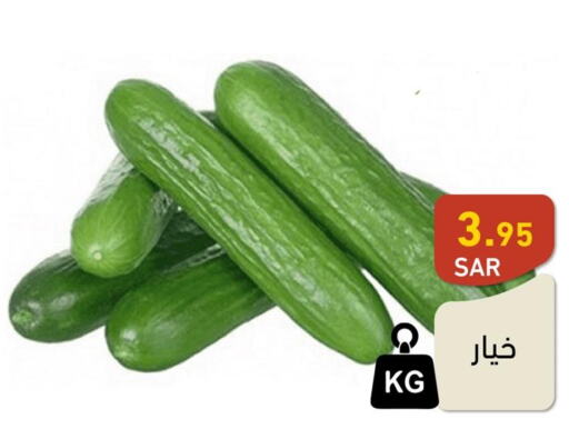  Cucumber  in أسواق رامز in مملكة العربية السعودية, السعودية, سعودية - تبوك