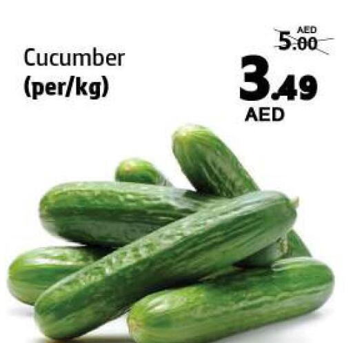  Cucumber  in الحوت  in الإمارات العربية المتحدة , الامارات - الشارقة / عجمان