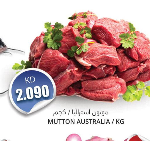  Mutton / Lamb  in 4 سيفمارت in الكويت - مدينة الكويت