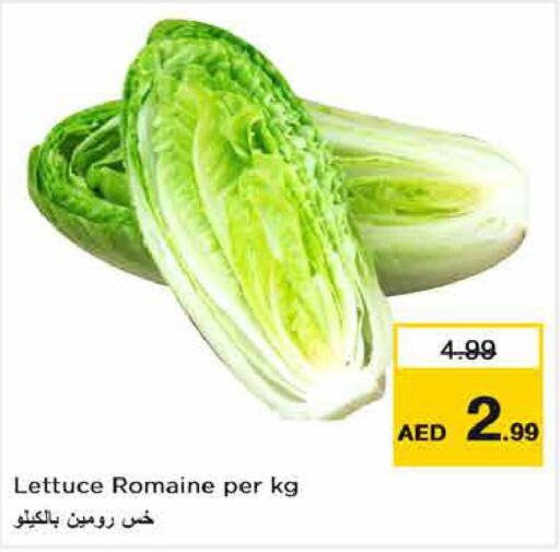  Cabbage  in نستو هايبرماركت in الإمارات العربية المتحدة , الامارات - ٱلْفُجَيْرَة‎
