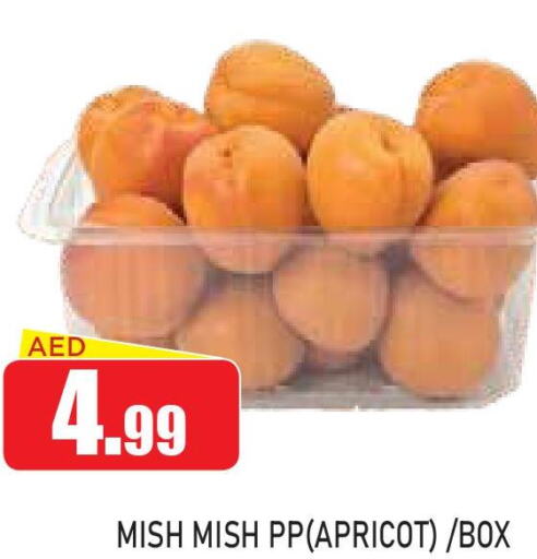  in Ain Al Madina Hypermarket in UAE - Sharjah / Ajman