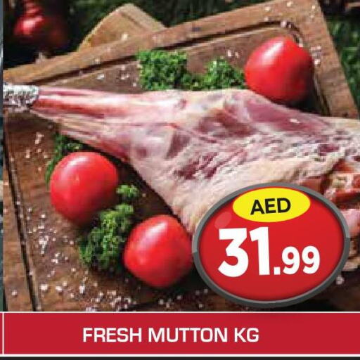  Mutton / Lamb  in سنابل بني ياس in الإمارات العربية المتحدة , الامارات - الشارقة / عجمان