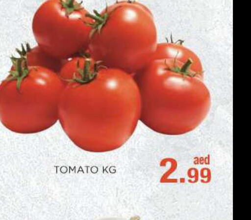  Tomato  in سي. ام. هايبرماركت in الإمارات العربية المتحدة , الامارات - أبو ظبي