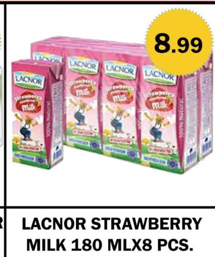 LACNOR Flavoured Milk  in ستوب ان شوب in الإمارات العربية المتحدة , الامارات - الشارقة / عجمان