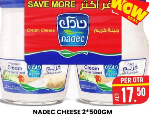 NADEC Cream Cheese  in AL AMAL HYPER MARKET LLC in UAE - Ras al Khaimah